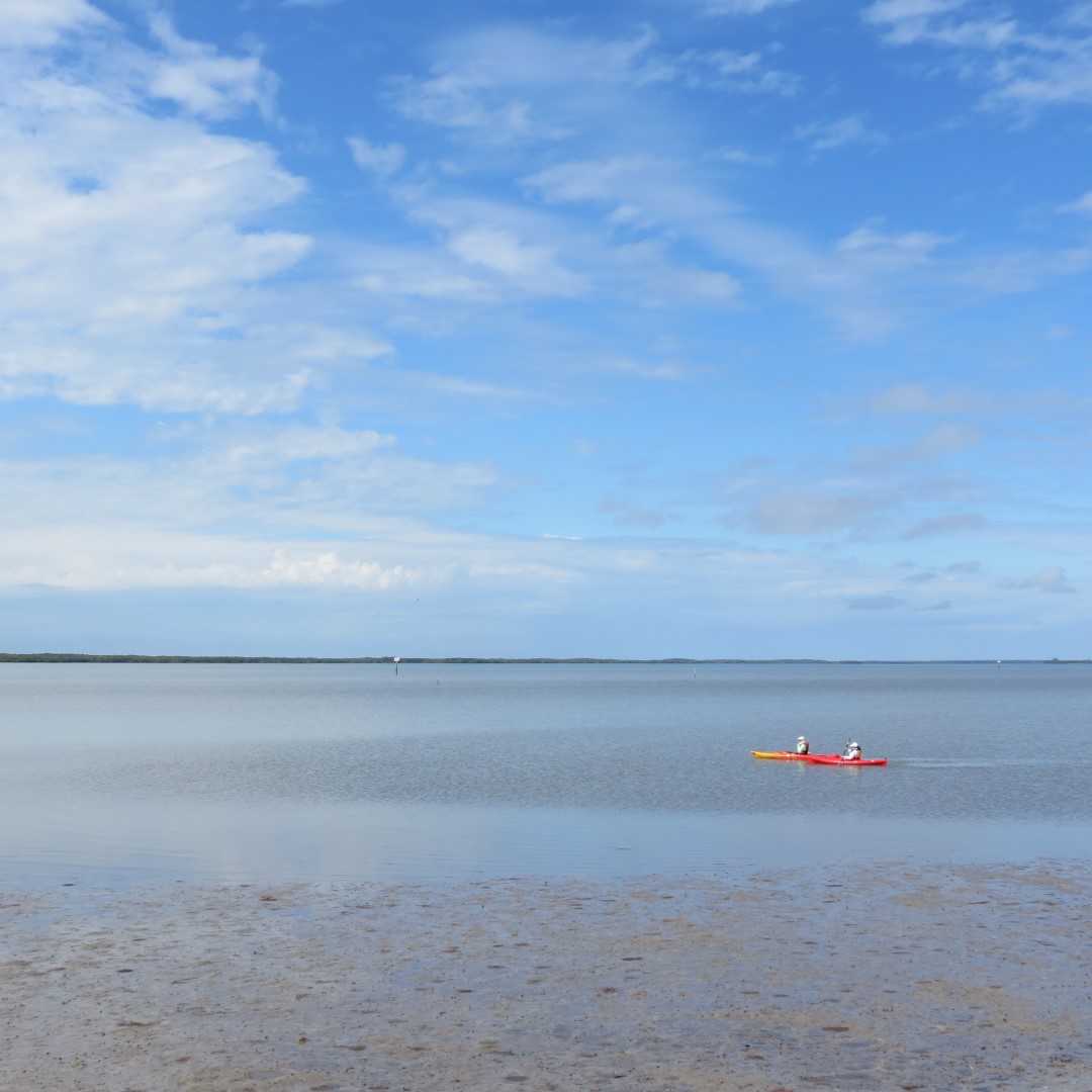 Big Cypress miscellaneous at the end of highway 29  3 of 3 (#5168)