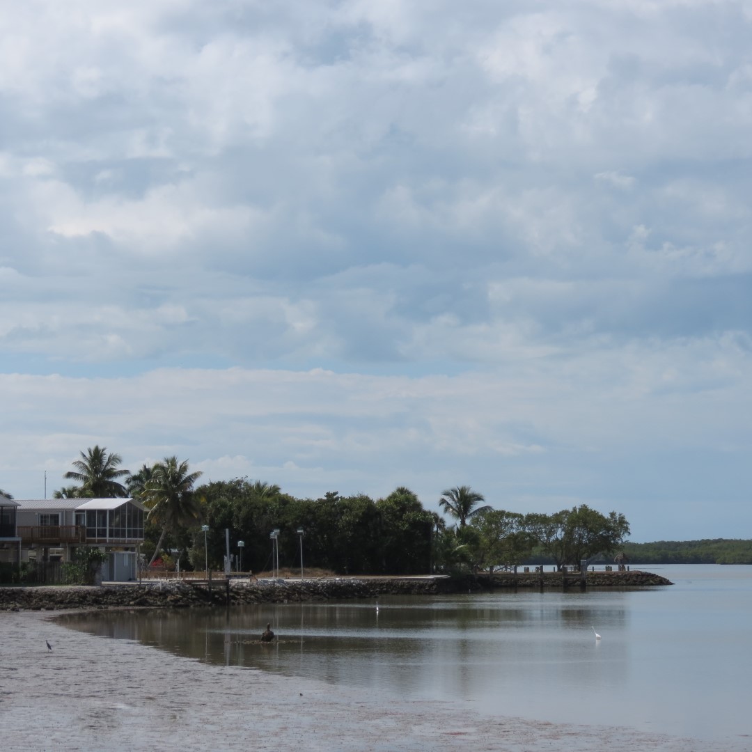 Big Cypress south end of highway 29  8 of 14 (#5169)