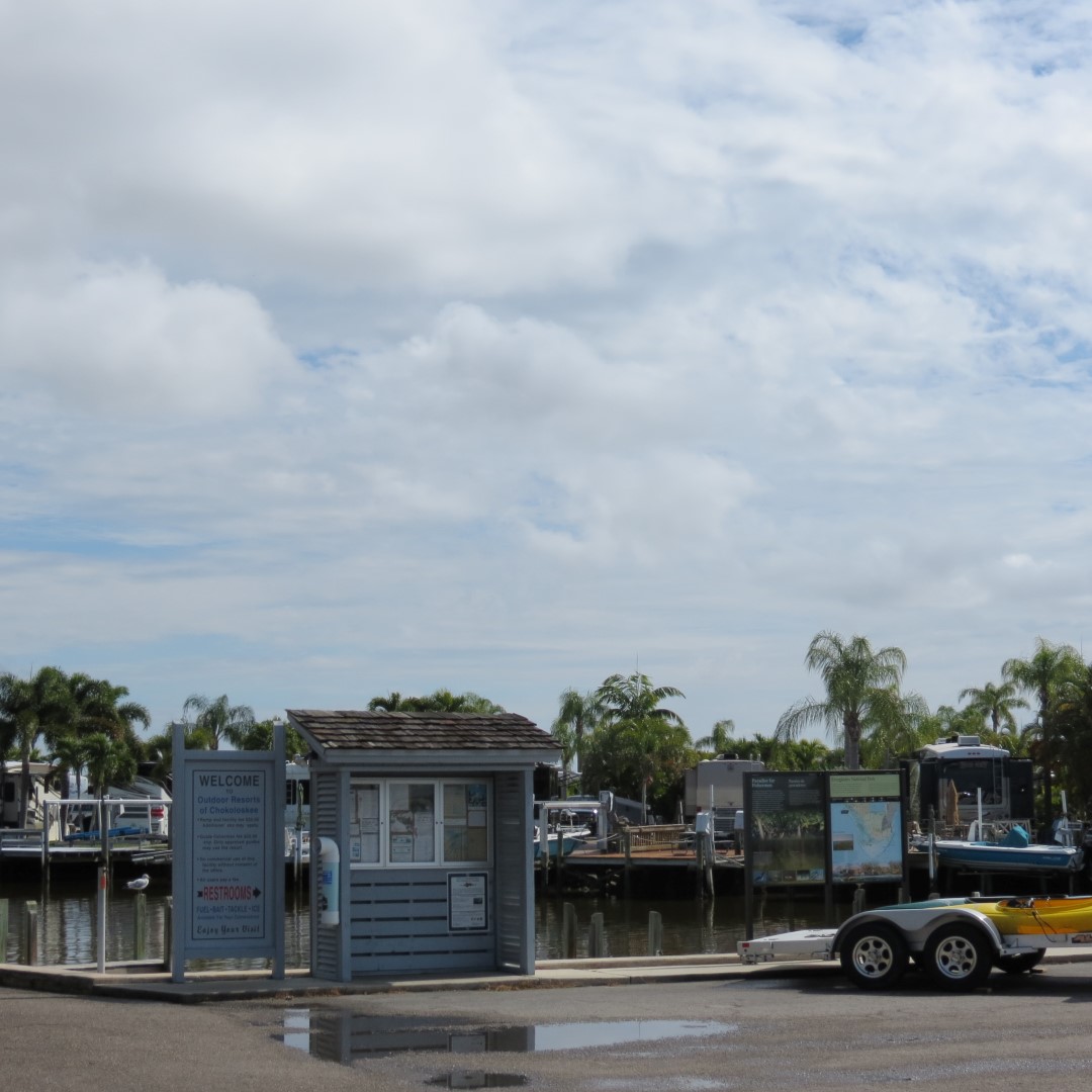 Big Cypress south end of highway 29 10 of 14 (#5170)