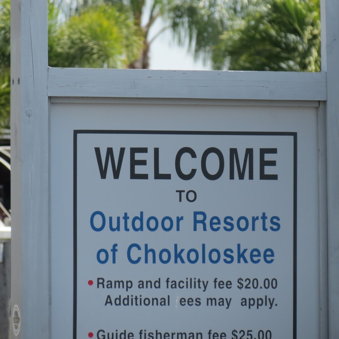 Big Cypress south end of highway 29  9 of 14 (#5171)