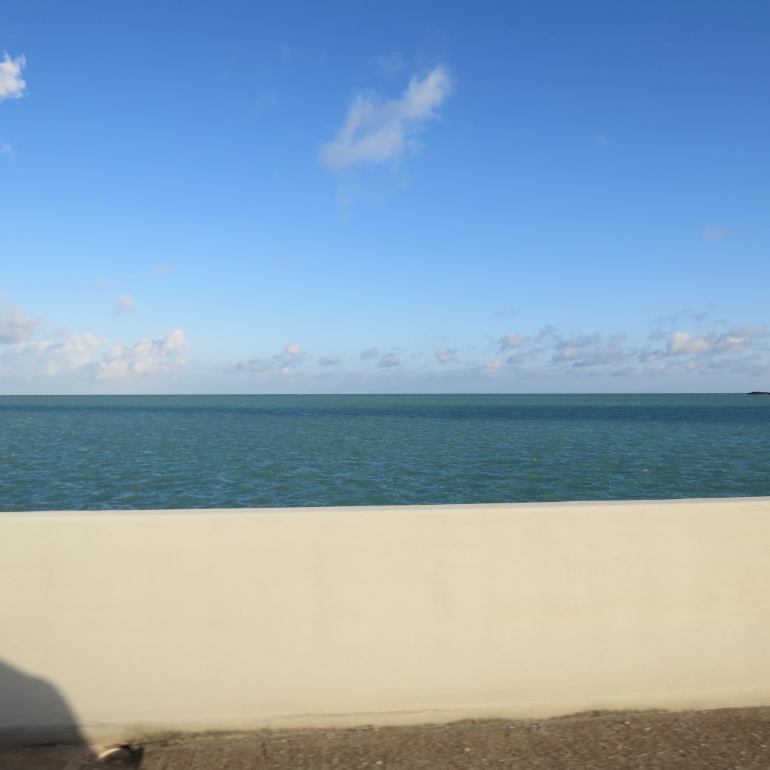 Along the route to Key West  6 of  6 (#5207)