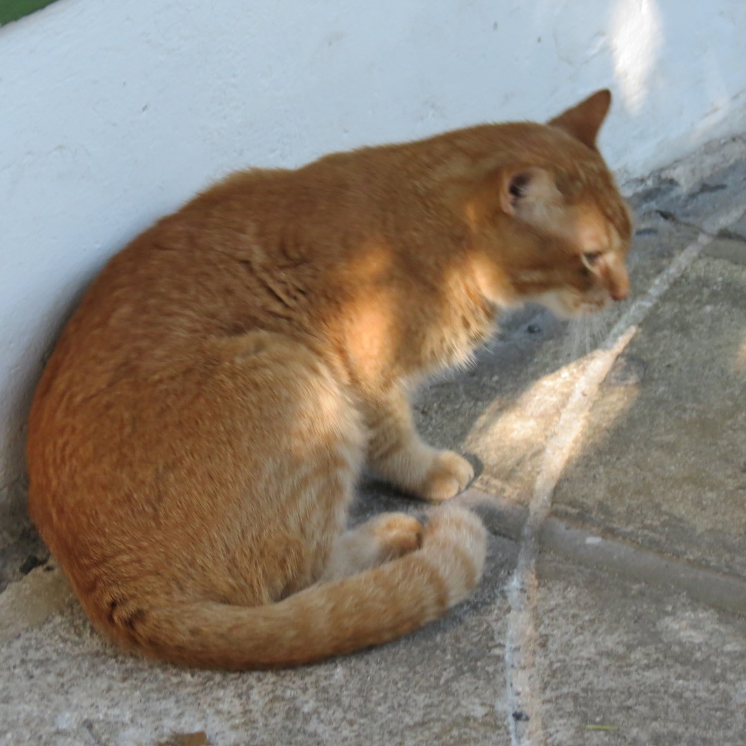 Hemmingway House 10 of 18 (#5228)