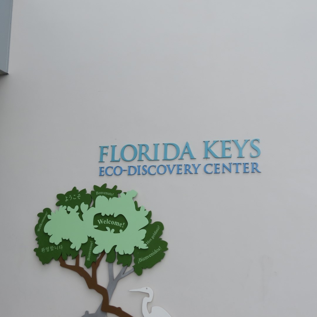 Eco-Discovery Center  1 of  4 (#5238)