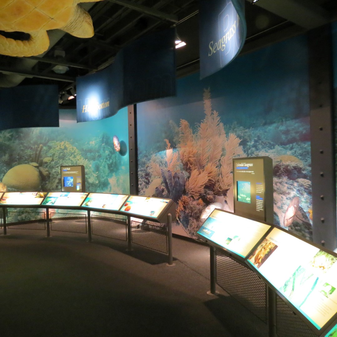 Eco-Discovery Center  2 of  4 (#5239)