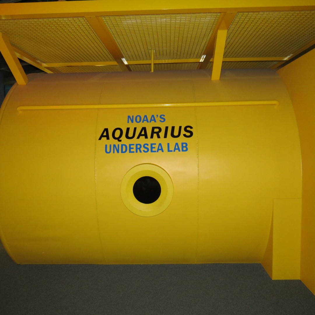 Eco-Discovery Center  3 of  4 (#5240)