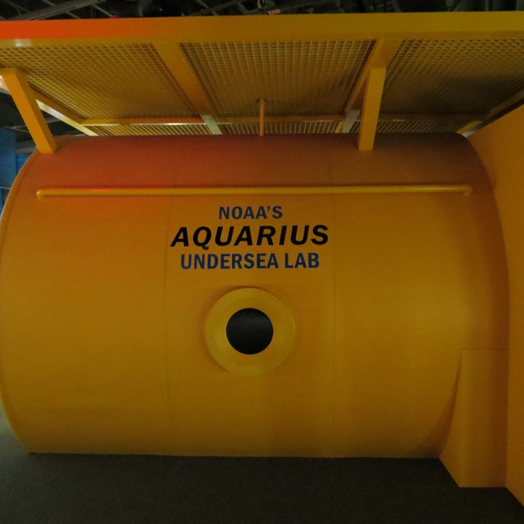 Eco-Discovery Center  4 of  4 (#5241)