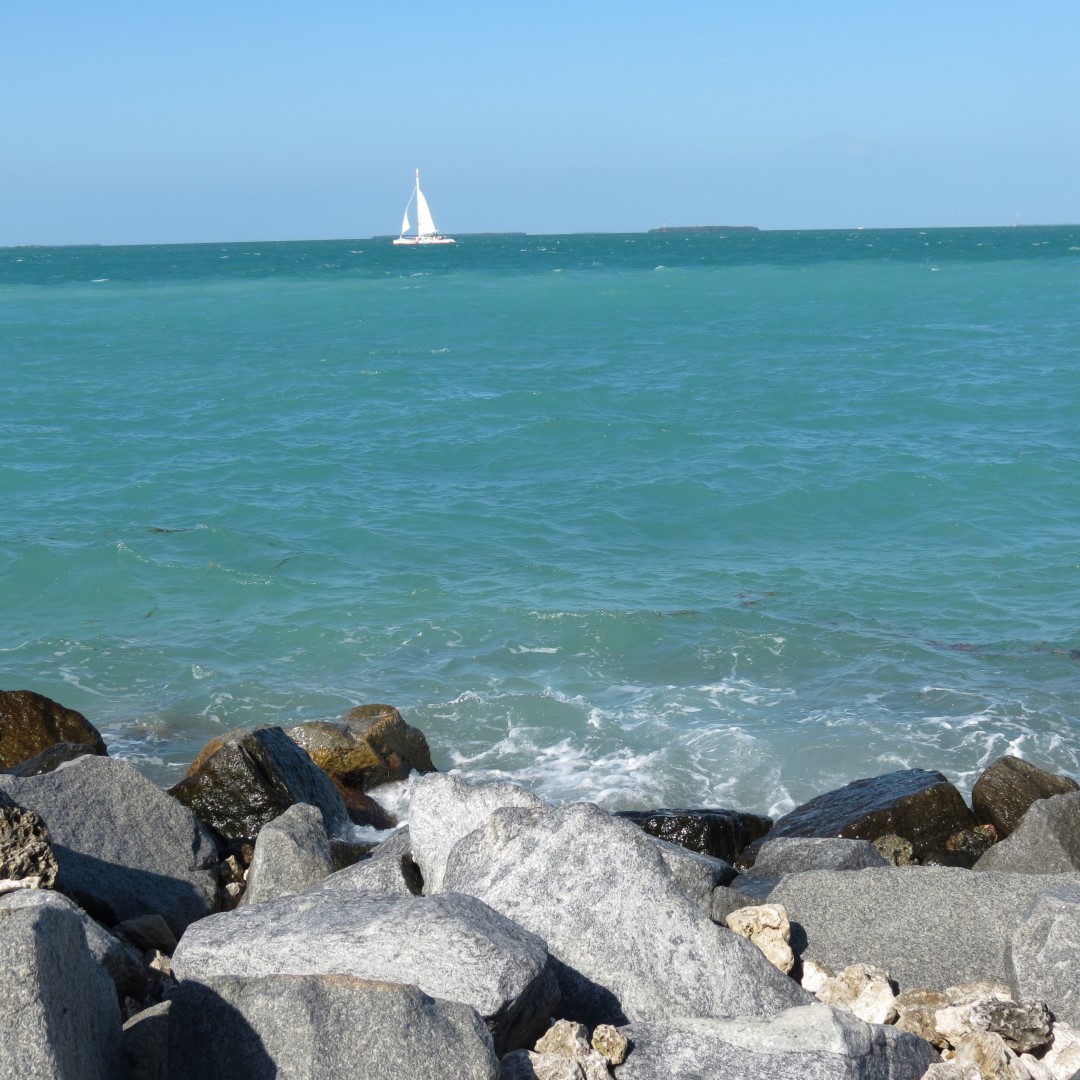 Water Activities near Ft Zachary Taylor 10 of 26 (#5251)