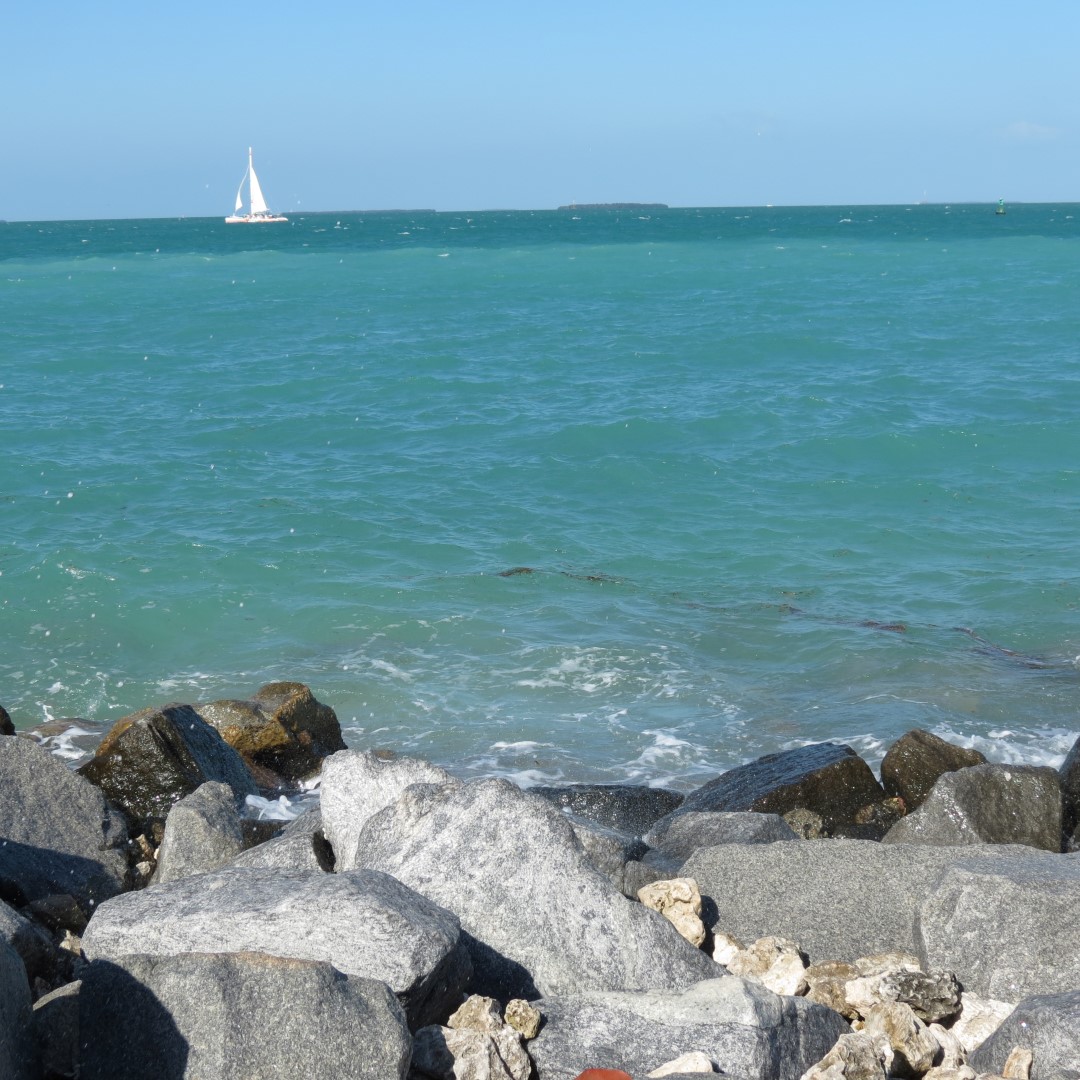 Water Activities near Ft Zachary Taylor 11 of 26 (#5252)