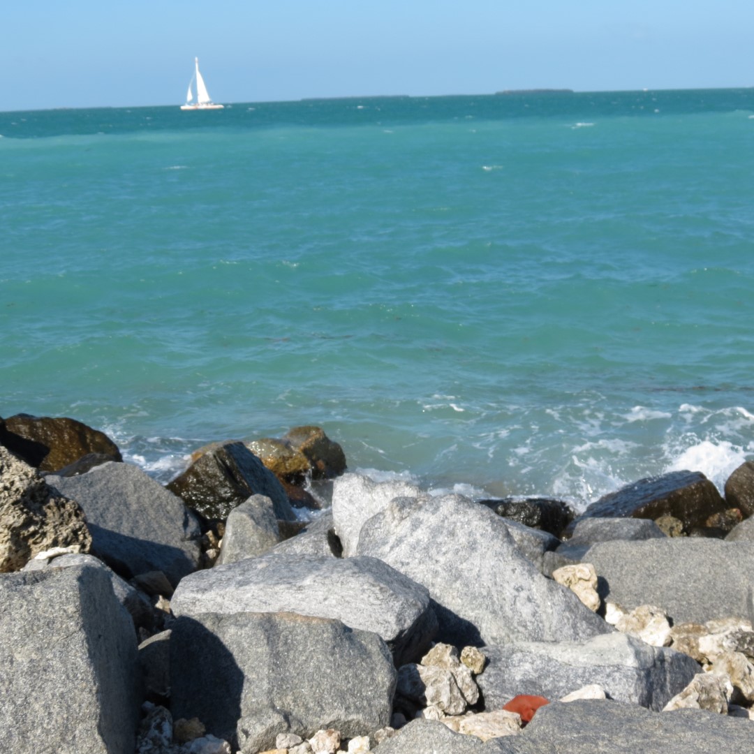 Water Activities near Ft Zachary Taylor 12 of 26 (#5253)