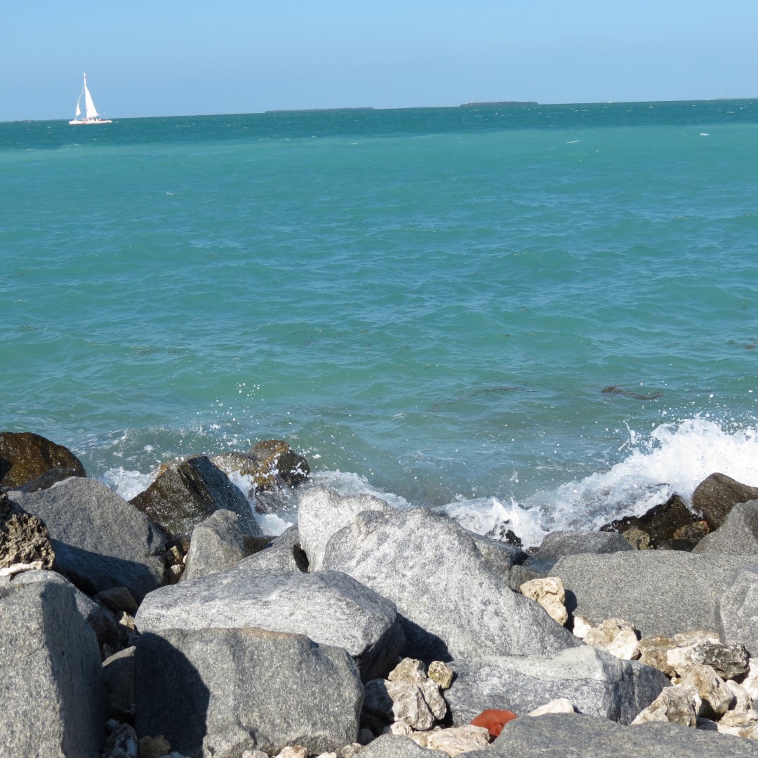 Water Activities near Ft Zachary Taylor 13 of 26 (#5254)
