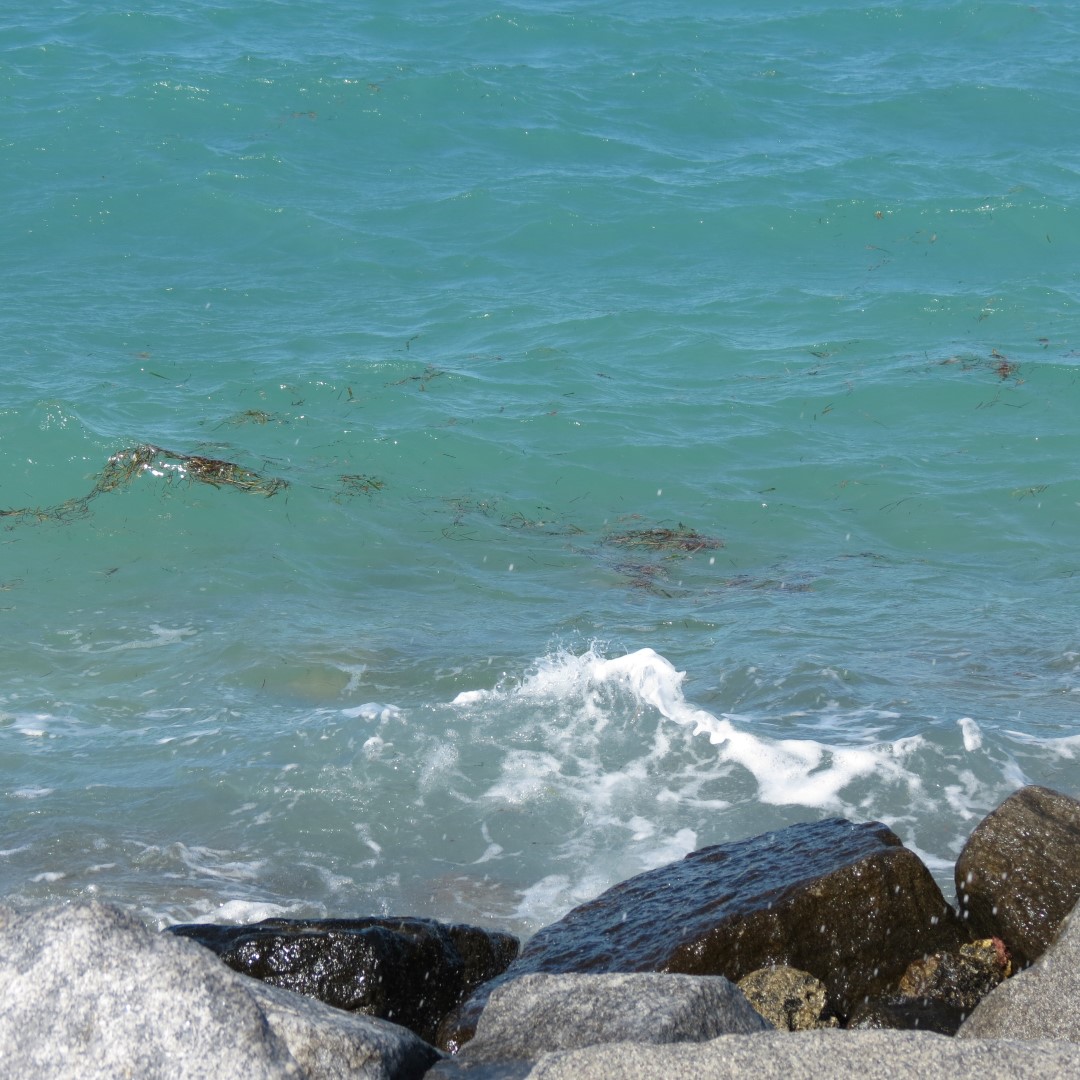 Water Activities near Ft Zachary Taylor 14 of 26 (#5255)