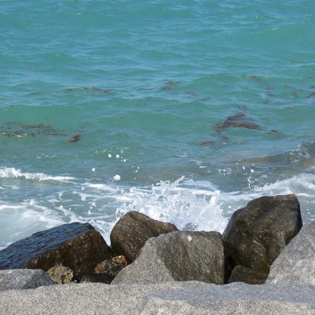 Water Activities near Ft Zachary Taylor 15 of 26 (#5256)