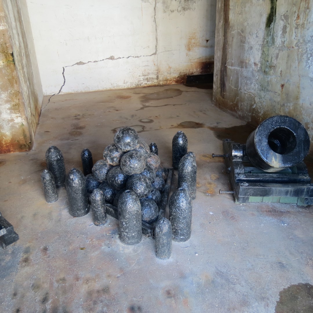 Ft Zachary Taylor  4 of  9 (#5266)