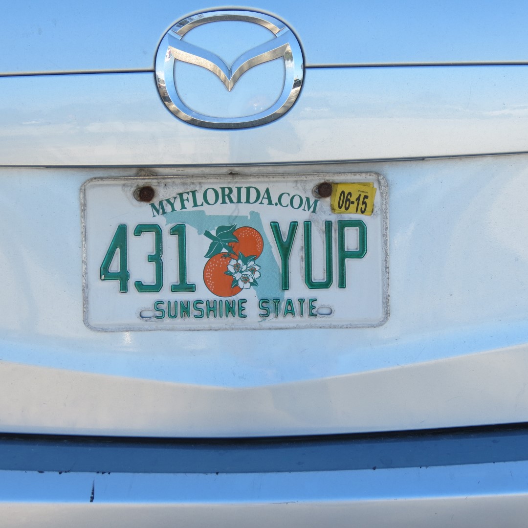 License Plate with word YUP  1 of  1 (#5295)