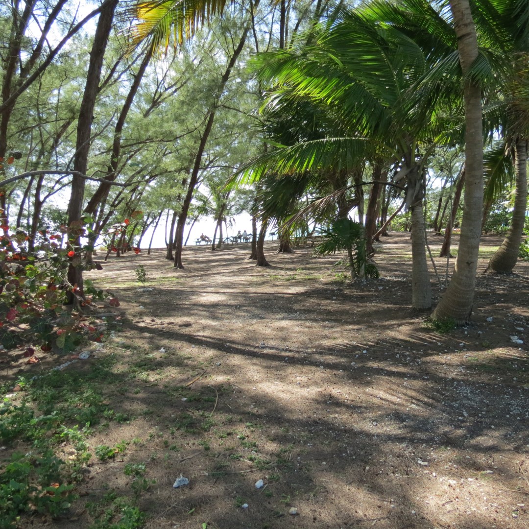 State park adjacent to Ft Zachary Taylor  2 of 15 (#5296)
