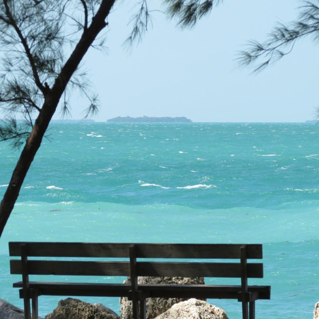 State park adjacent to Ft Zachary Taylor  4 of 15 (#5298)