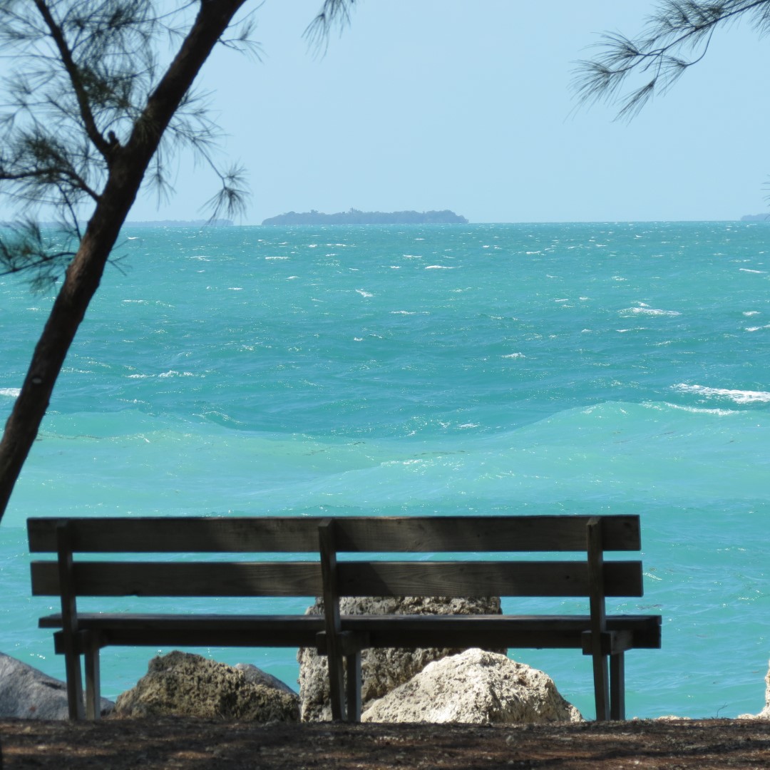 State park adjacent to Ft Zachary Taylor  5 of 15 (#5299)