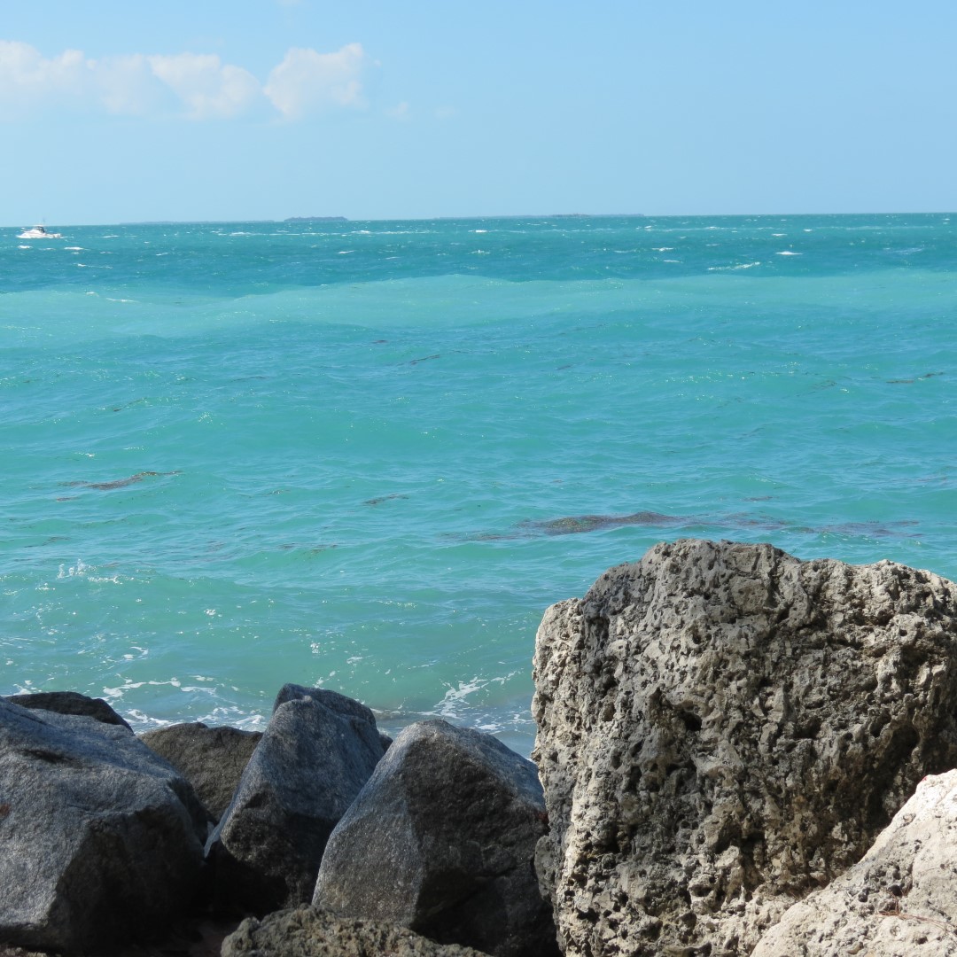 State park adjacent to Ft Zachary Taylor  6 of 15 (#5300)