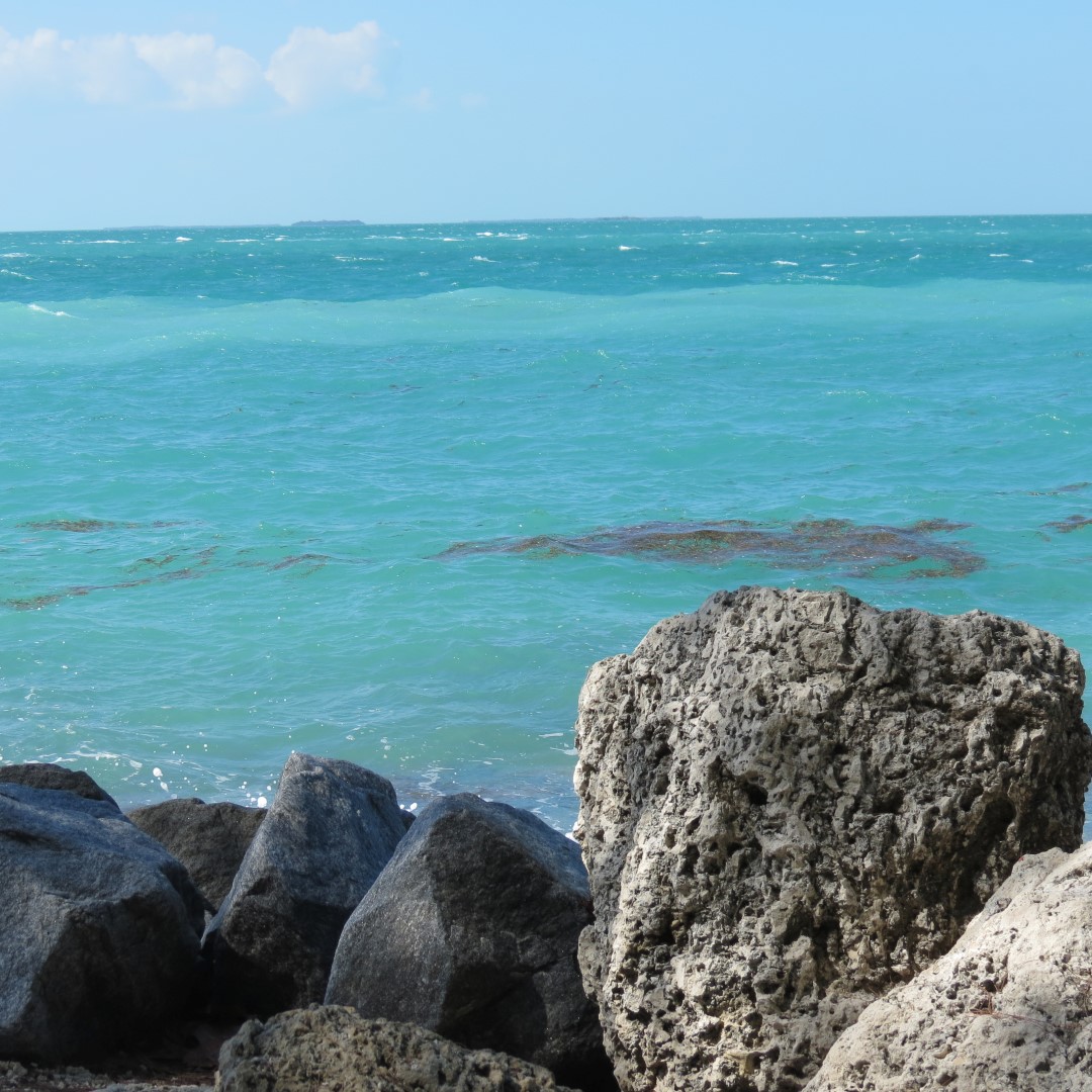 State park adjacent to Ft Zachary Taylor  7 of 15 (#5301)