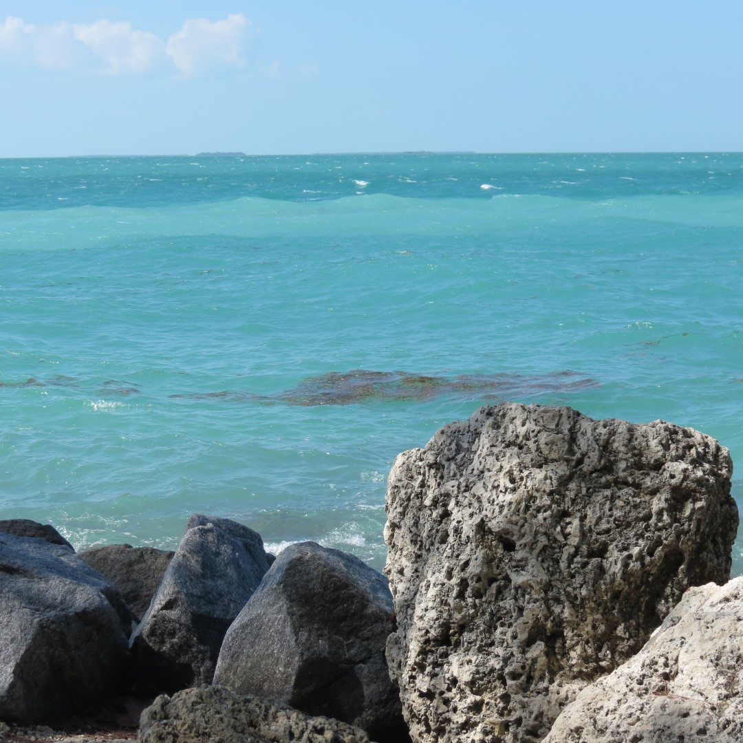 State park adjacent to Ft Zachary Taylor  8 of 15 (#5302)