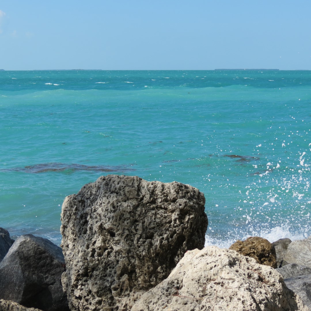 State park adjacent to Ft Zachary Taylor  9 of 15 (#5303)