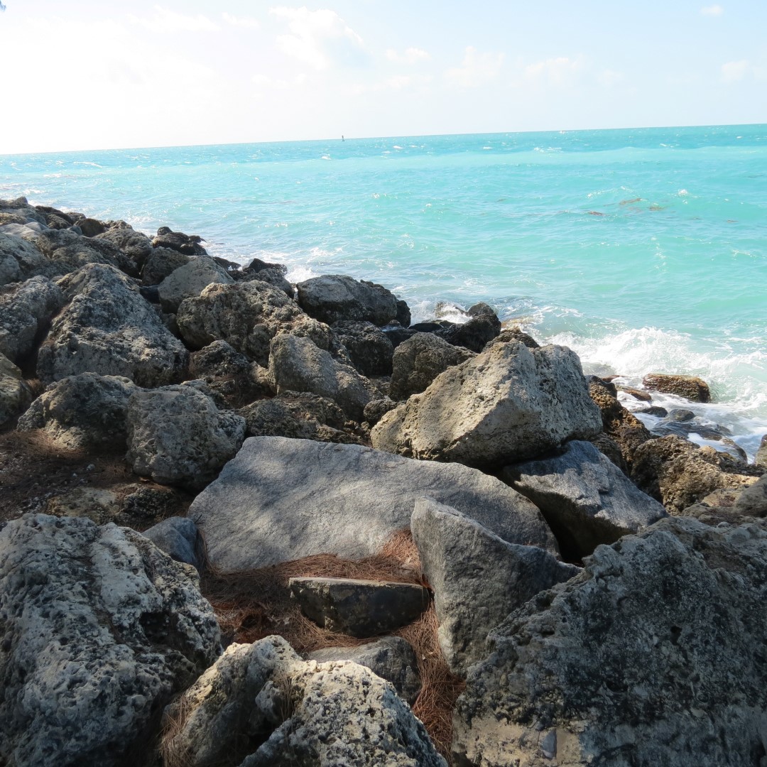 State park adjacent to Ft Zachary Taylor 10 of 15 (#5304)