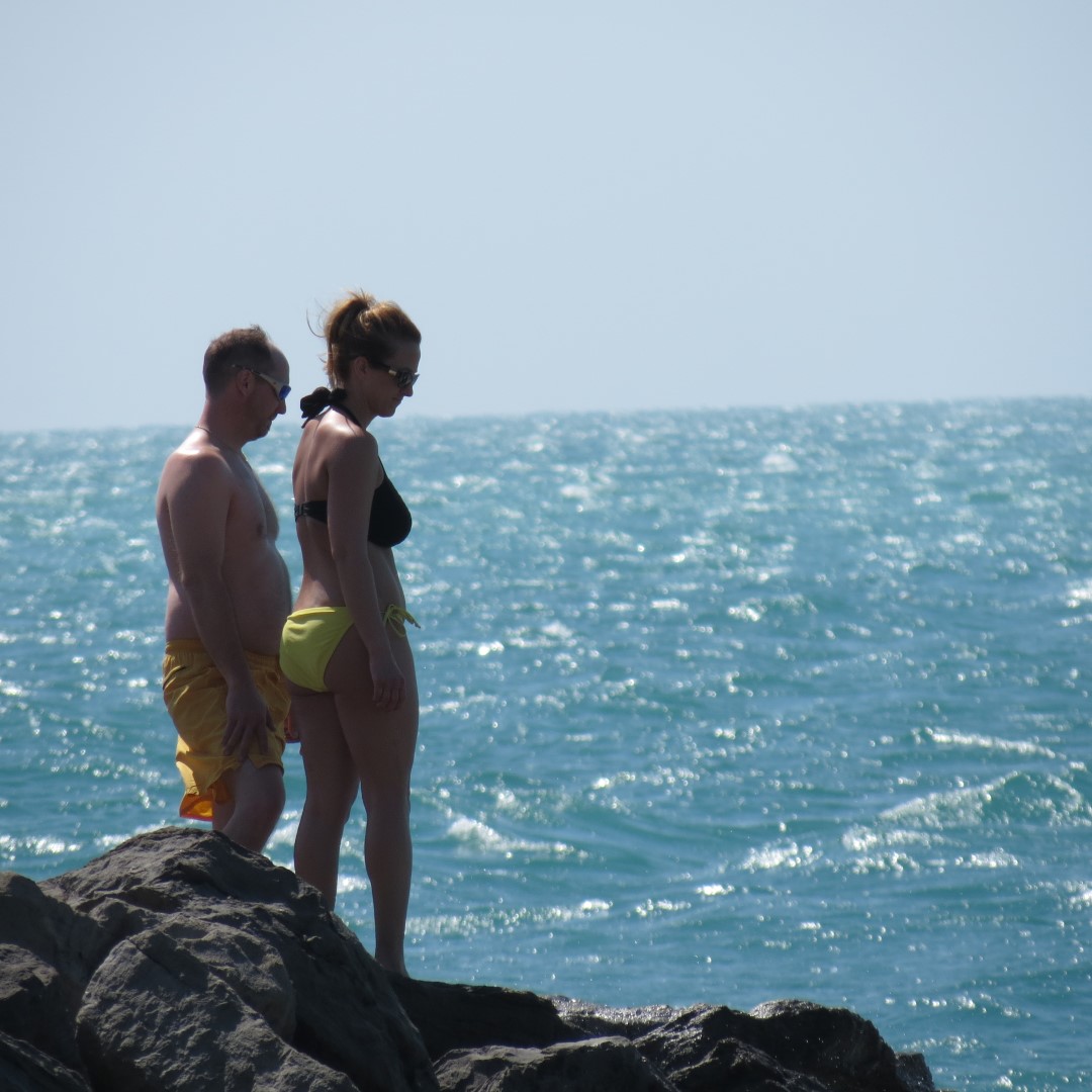 State park adjacent to Ft Zachary Taylor 11 of 15 (#5305)