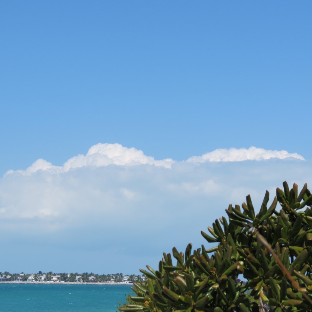 State park adjacent to Ft Zachary Taylor 13 of 15 (#5307)