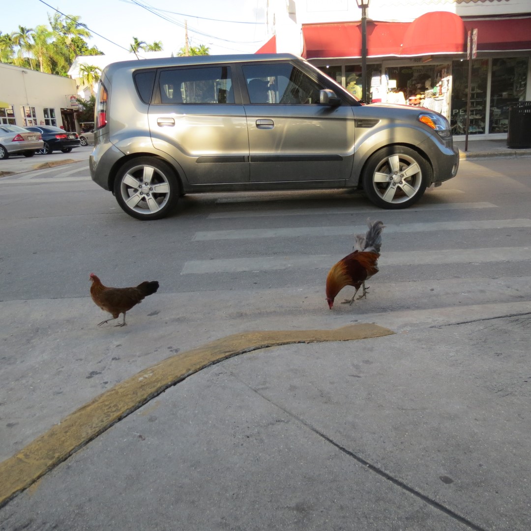 Downtown Key West Scenes  1 of  3 (#5317)
