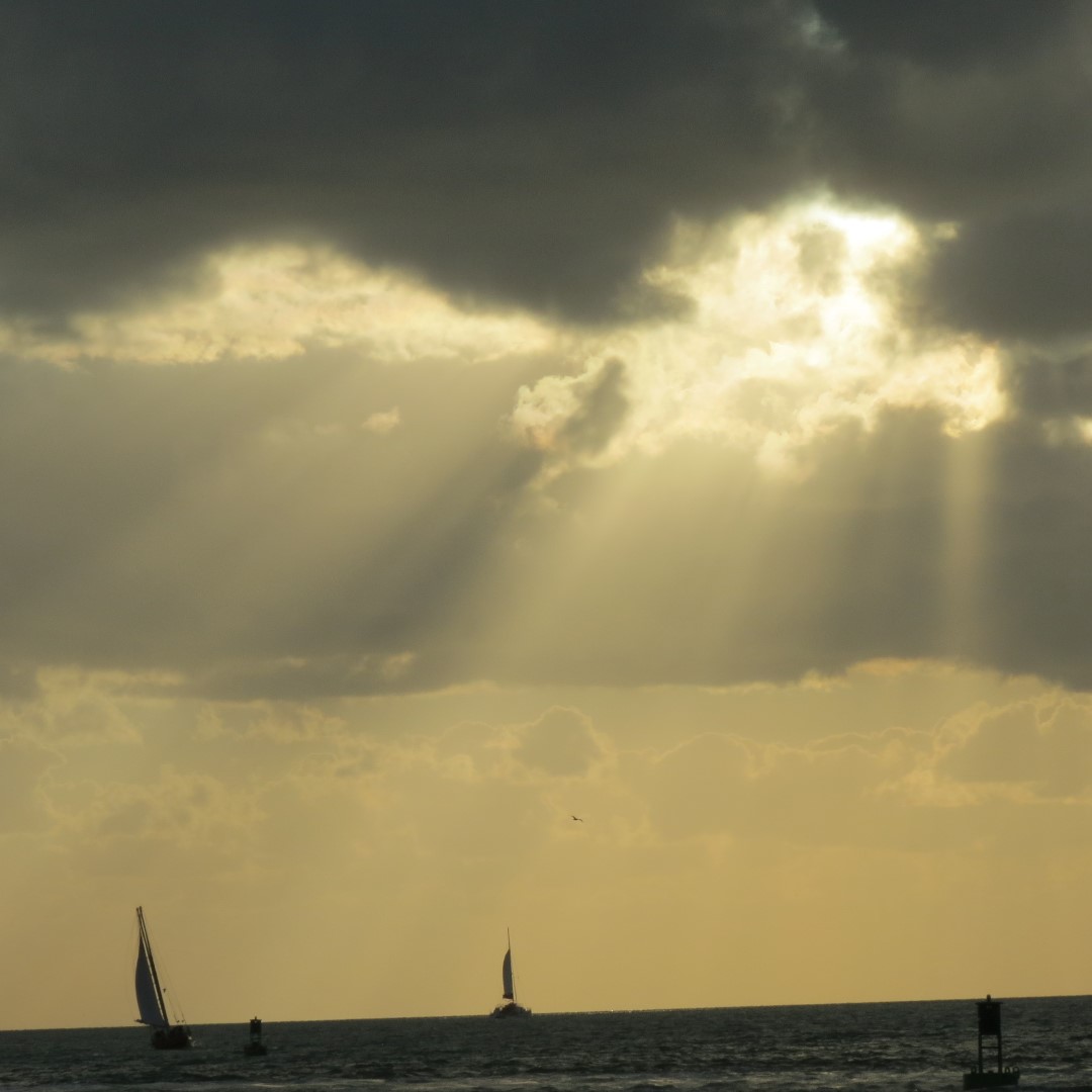 Sunset Party in Key West   3 of 142 (#5321)