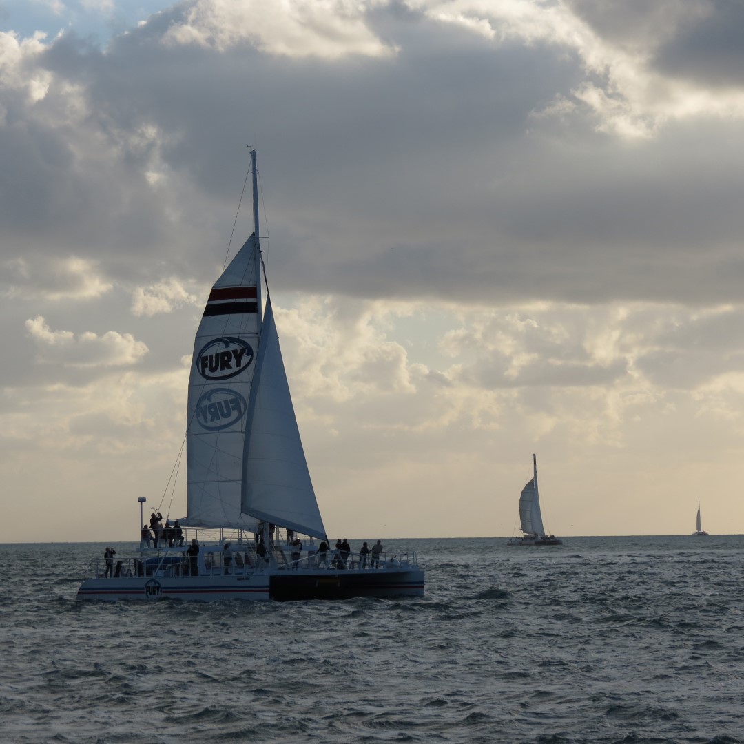 Sunset Party in Key West   7 of 142 (#5325)