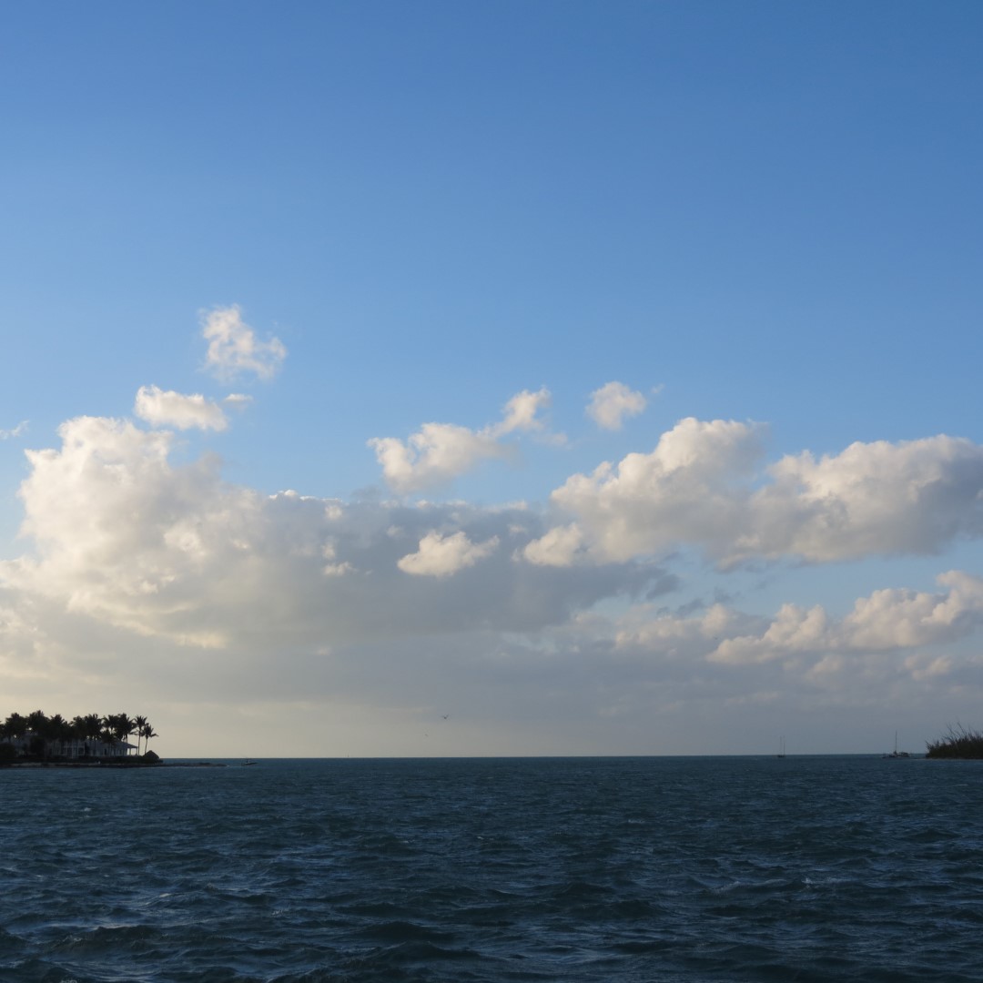 Sunset Party in Key West   9 of 142 (#5327)