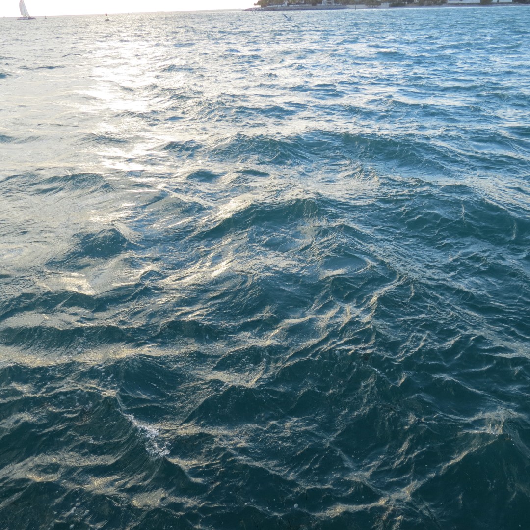 Sunset Party in Key West  11 of 142 (#5329)