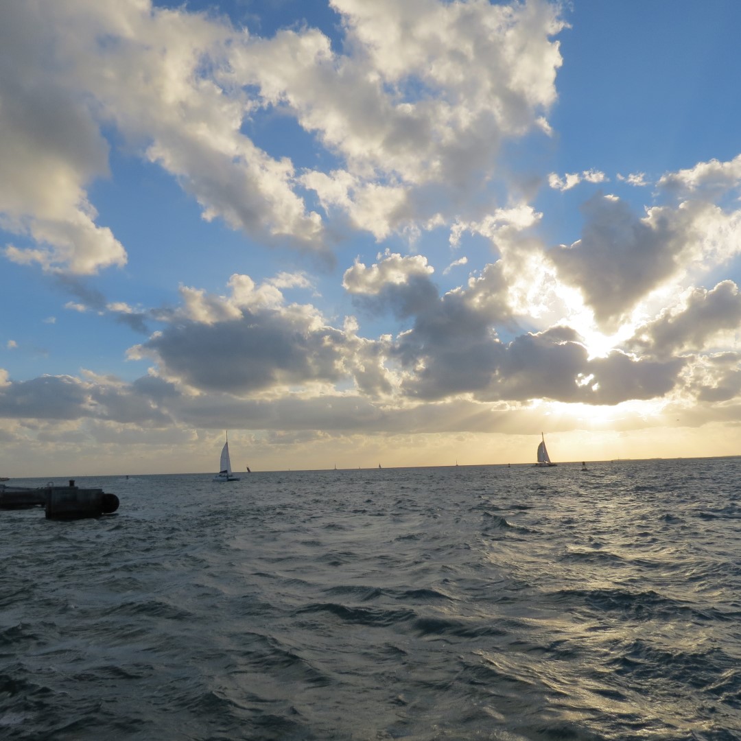 Sunset Party in Key West  12 of 142 (#5330)