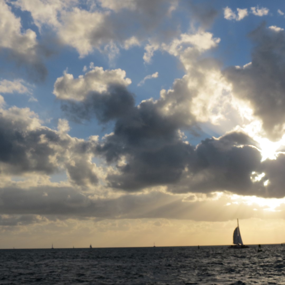 Sunset Party in Key West  13 of 142 (#5331)