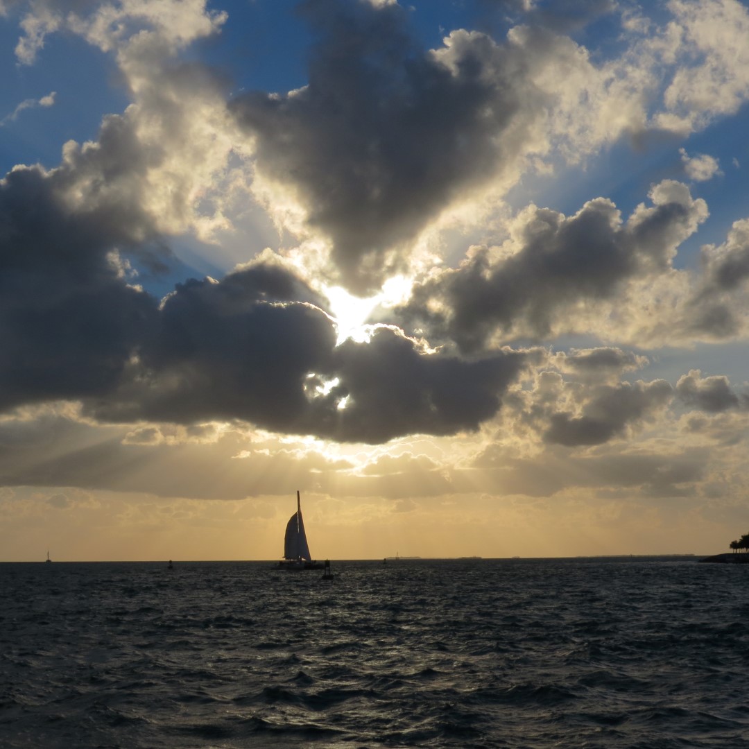 Sunset Party in Key West  14 of 142 (#5332)