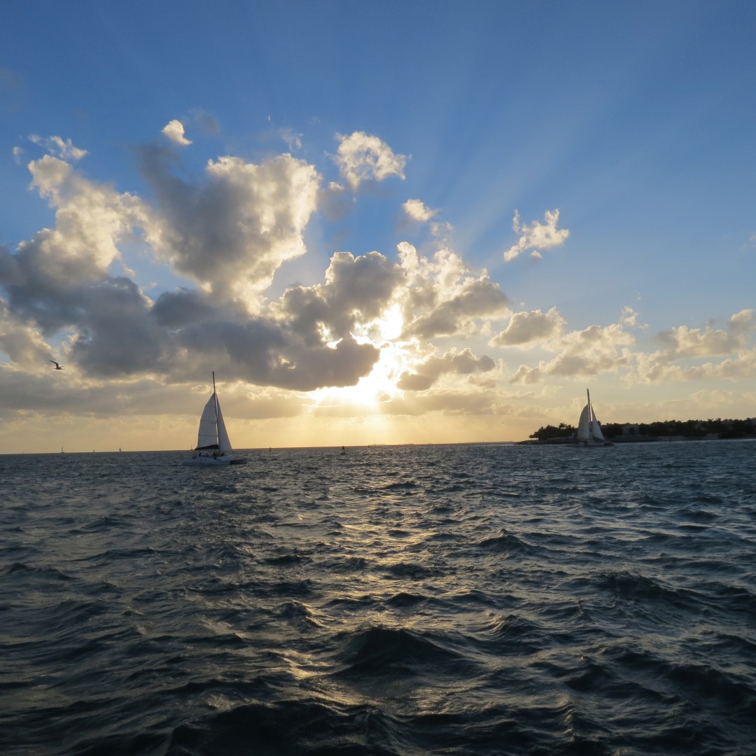 Sunset Party in Key West  15 of 142 (#5333)