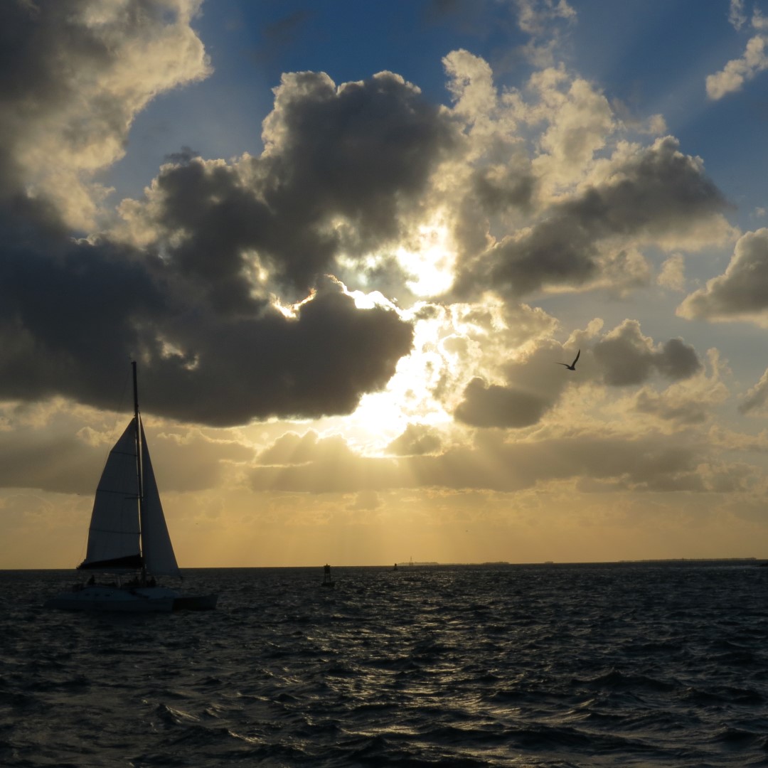 Sunset Party in Key West  16 of 142 (#5334)