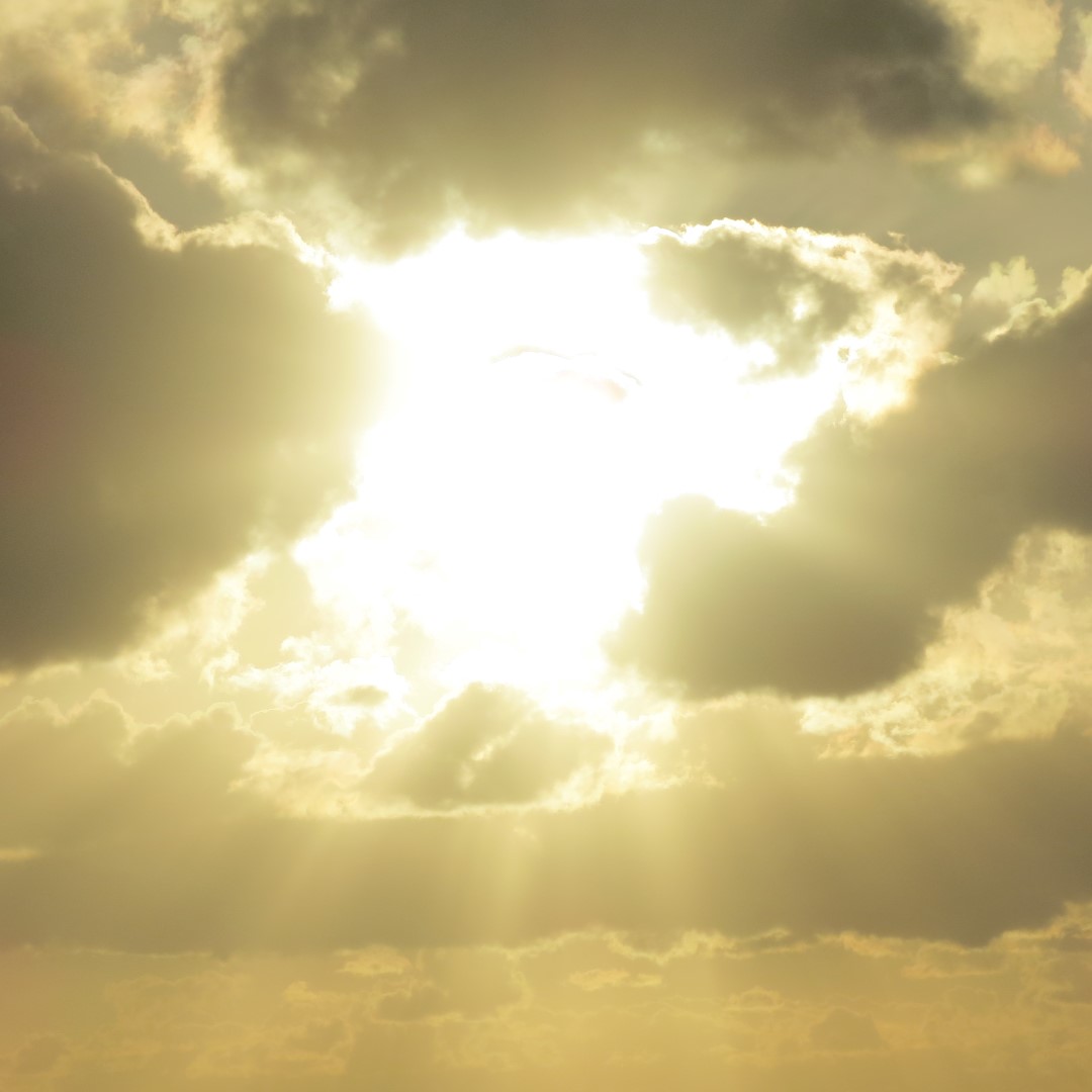 Sunset Party in Key West  21 of 142 (#5339)