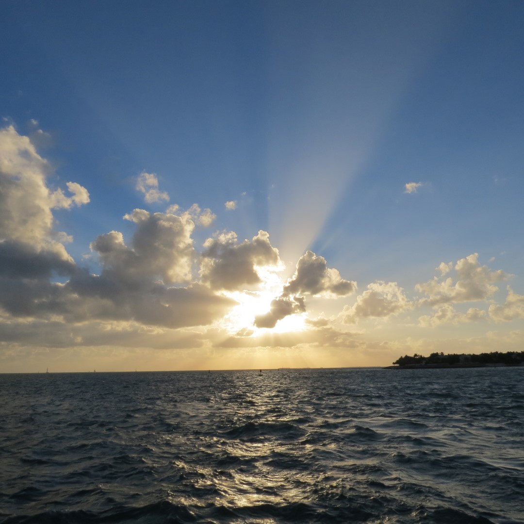 Sunset Party in Key West  22 of 142 (#5340)