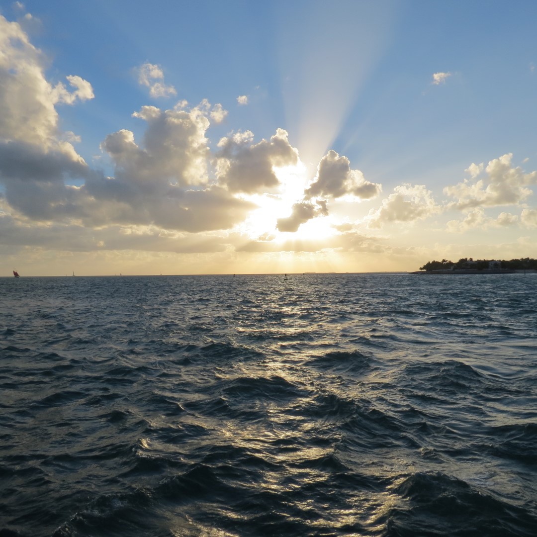 Sunset Party in Key West  23 of 142 (#5341)