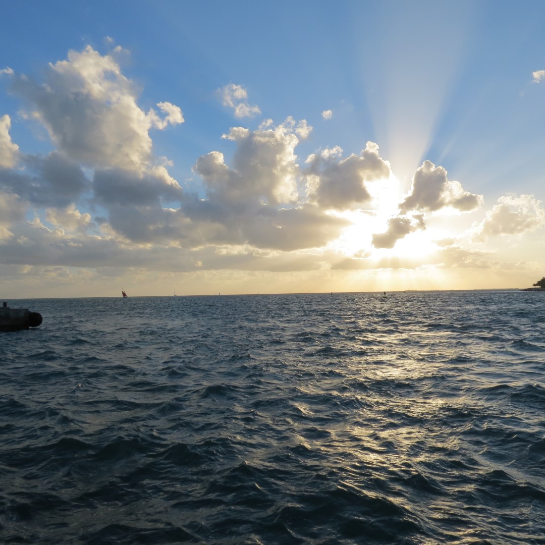 Sunset Party in Key West  24 of 142 (#5342)