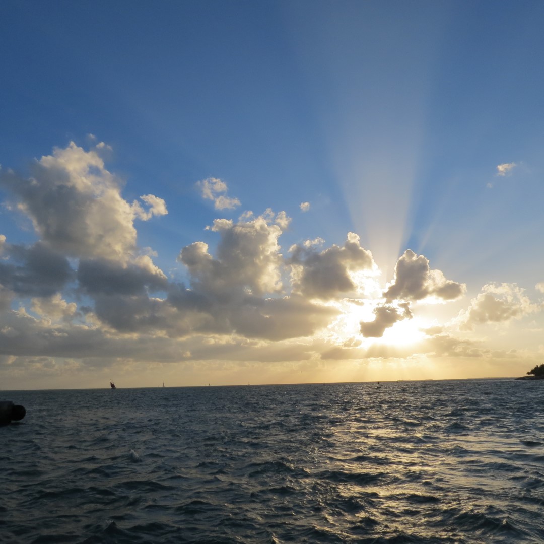 Sunset Party in Key West  25 of 142 (#5343)