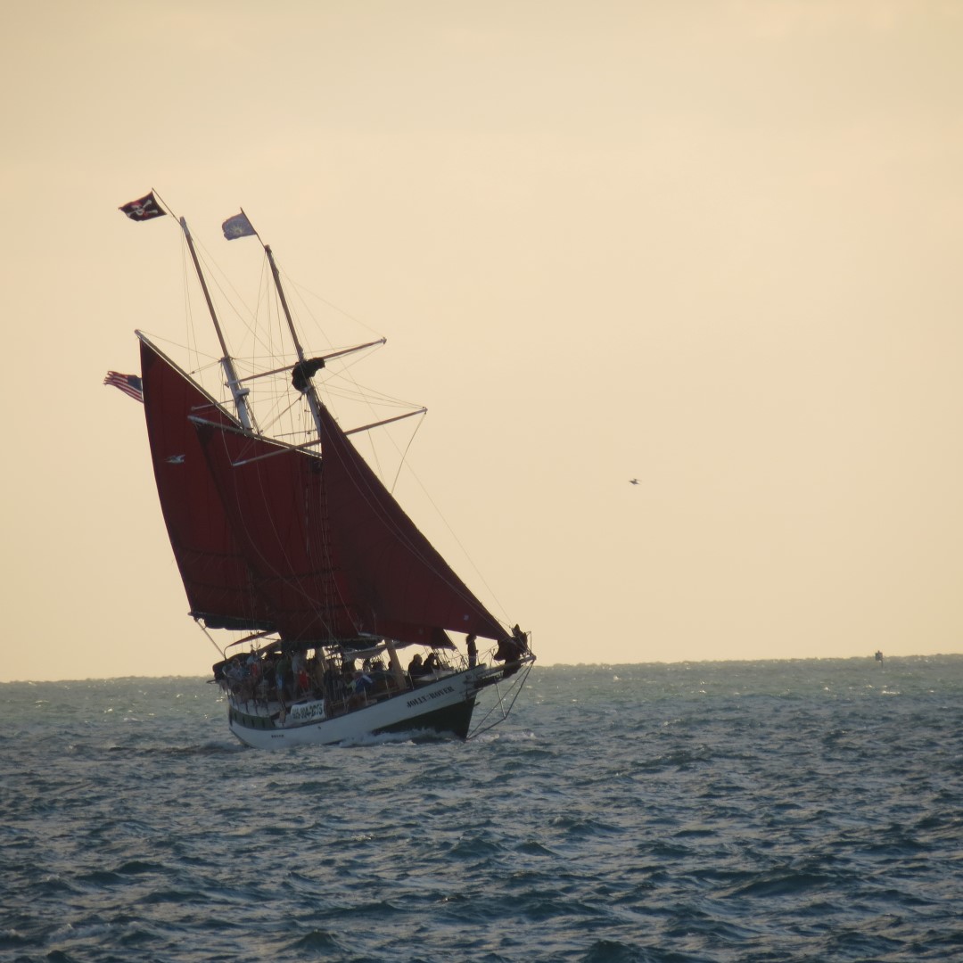 Sunset Party in Key West  26 of 142 (#5344)