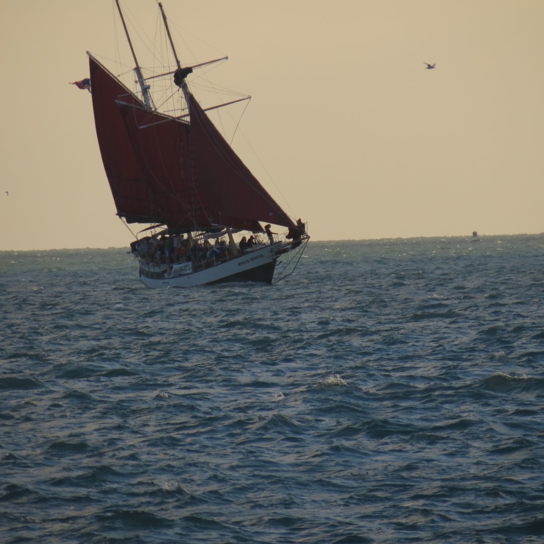 Sunset Party in Key West  27 of 142 (#5345)