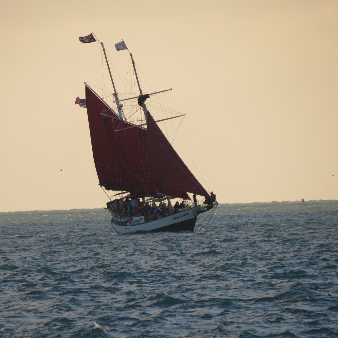 Sunset Party in Key West  28 of 142 (#5346)