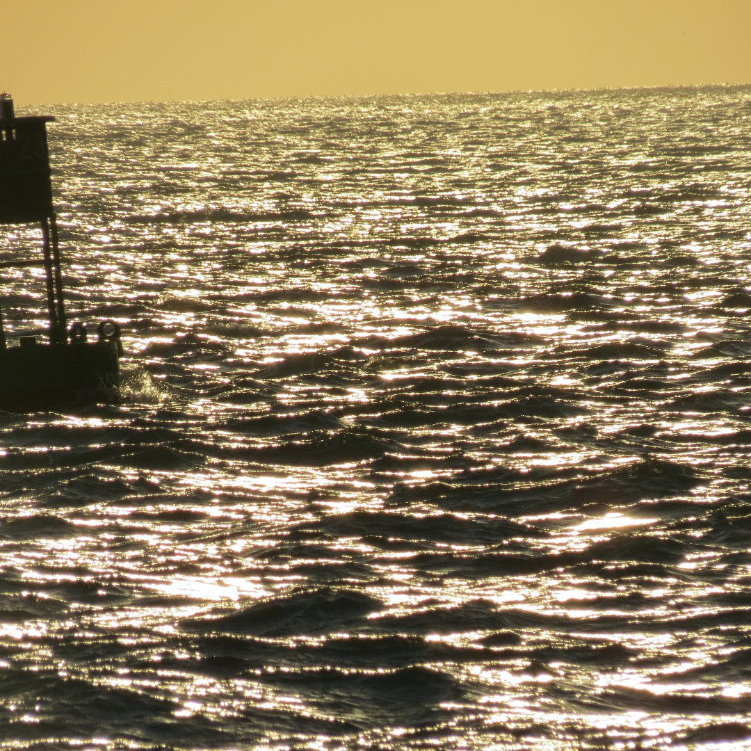 Sunset Party in Key West  29 of 142 (#5347)