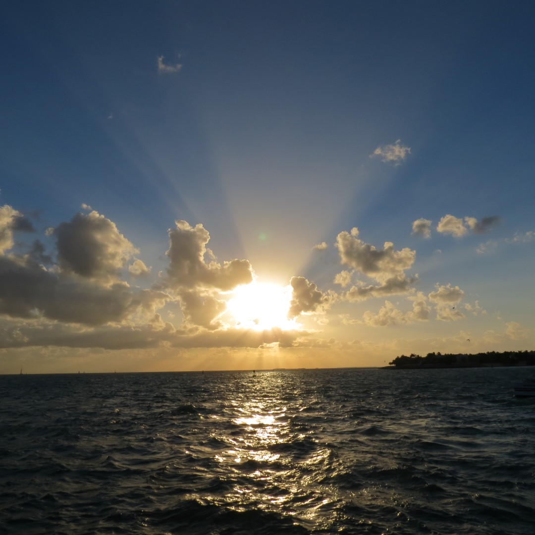 Sunset Party in Key West  31 of 142 (#5349)