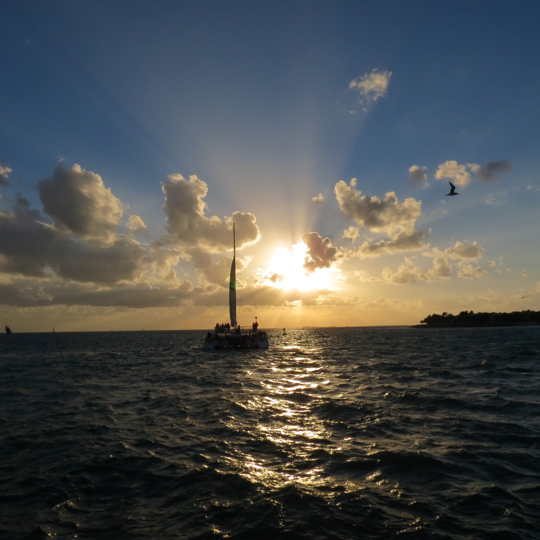 Sunset Party in Key West  35 of 142 (#5353)