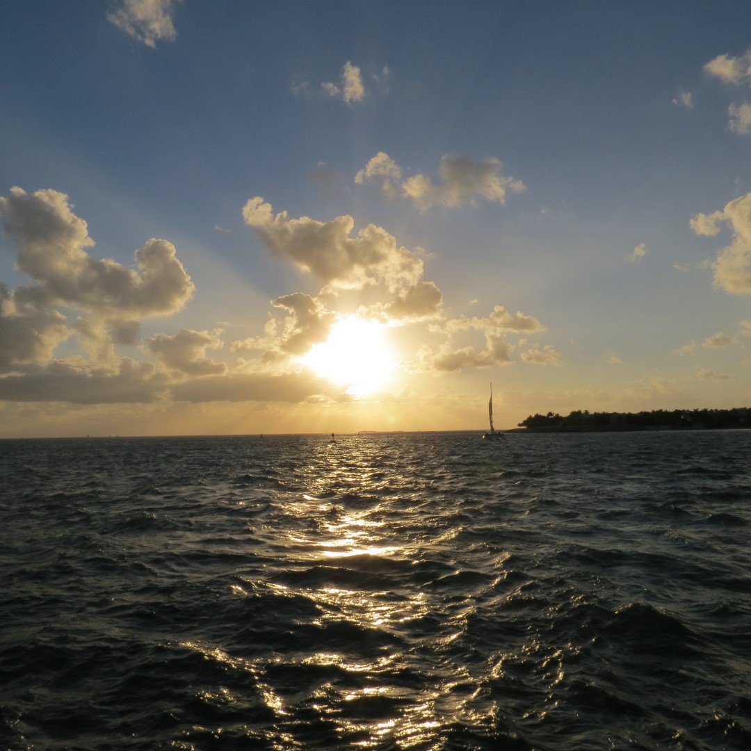 Sunset Party in Key West  36 of 142 (#5354)